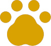 Zauberfrau Icon Haustier
