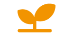 Icon Wachstum